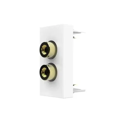 Module Haut-parleur Livolo | Connexion Audio & Design Élégant Blanc