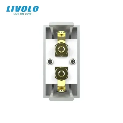Module Haut-parleur Livolo | Connexion Audio & Design Élégant Blanc
