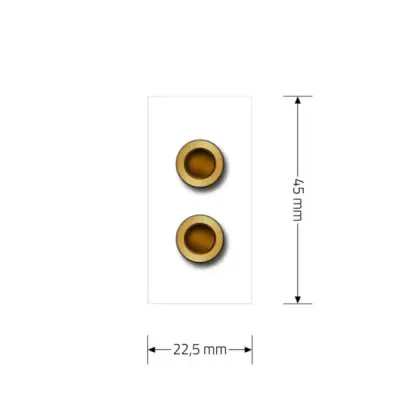 Module Haut-parleur Livolo | Connexion Audio & Design Élégant Blanc