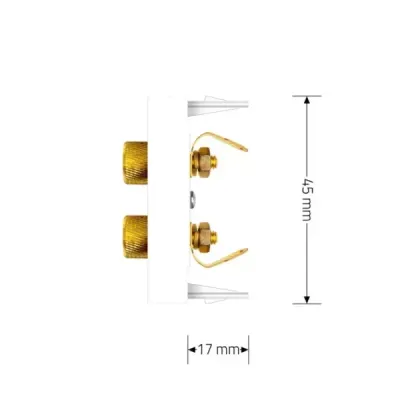 Module Haut-parleur Livolo | Connexion Audio & Design Élégant Blanc