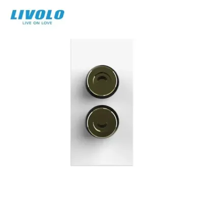 Module Haut-parleur Livolo | Connexion Audio & Design Élégant Blanc