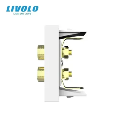 Module Haut-parleur Livolo | Connexion Audio & Design Élégant Blanc