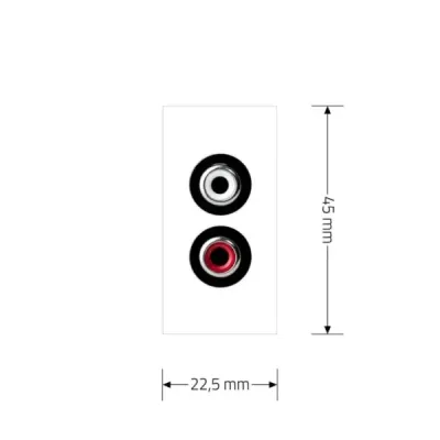Module Audio Cinch Livolo | Connexion Haut-parleur & Design Moderne