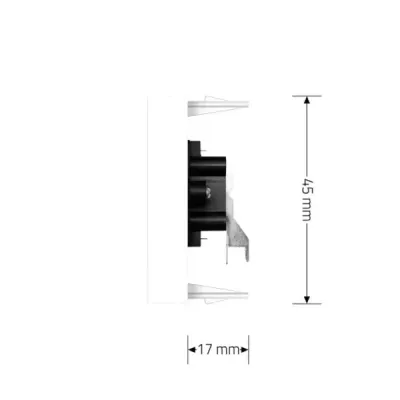 Module Audio Cinch Livolo | Connexion Haut-parleur & Design Moderne