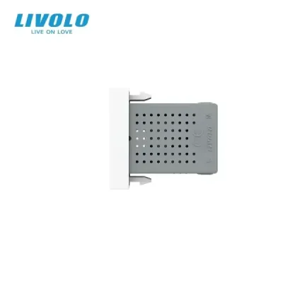 Module USB Livolo | Recharge Rapide & Design Élégant Blanc