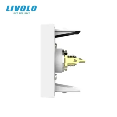 Prise Vidéo Composite Livolo | Connexion RCA & Design Moderne