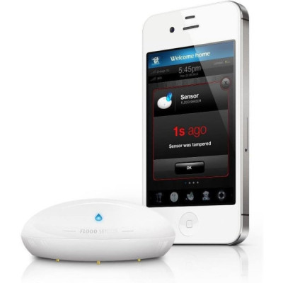 Fibaro Flood Sensor - Détecteur d’Inondation et de Température Intelligent | Sécurité Domotique